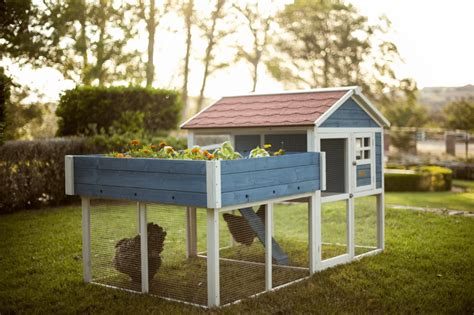 best chicken coops to buy.